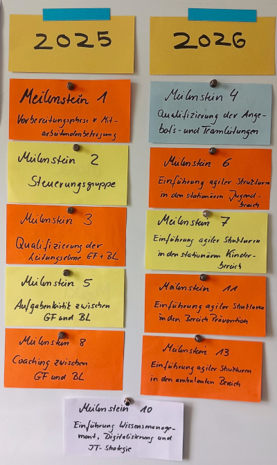 Die Meilensteine des Rückenwind-Projektes an einem Flipchart